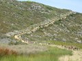 leighs-cycle-centre-absa-cape-epic-08-6