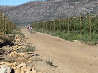 leighs-cycle-centre-absa-cape-epic-11-4